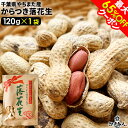 最大65%OFFクーポン 千葉県やちまた産 からつき落花生豆 高級感あるクラフト袋入 中手豊品種 120g×1袋 ナッツ 全国送料無料 酒のつまみ 非常食 保存食 残暑見舞い 手土産 帰省 土産 お盆 お供え 夏休み