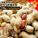 【半額】 千葉県やちまた産 からつき落花生 中手豊 120g ナッツ ピーナッツ おつまみ お取り寄せ プレゼント お持たせ お土産 ランキング1位 酒のつまみ 非常食 保存食