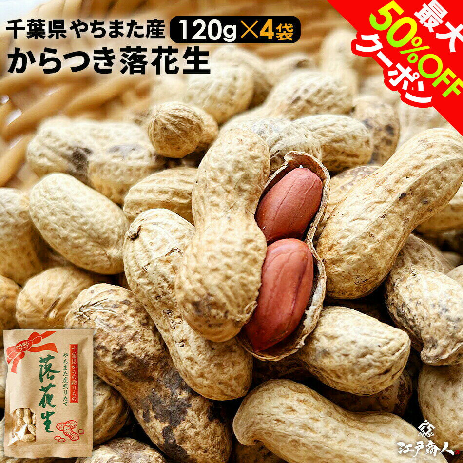 最大50％OFFクーポン 千葉県やちまた産 からつき落花生 高級感あるクラフト袋入 中手豊品種 120g×4袋 ナッツ ピーナッツ おつまみ お取り寄せ プレゼント お持たせ お土産 非常食 保存食