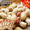 最大77%OFFクーポン 千葉県やちまた産 からつき落花生 高級感あるクラフト袋入 中手豊品種 120g×4袋 ナッツ ピーナッツ おつまみ お取り寄せ プレゼ...