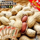 最大65%OFFクーポン 千葉県やちまた産 からつき落花生 高級感あるクラフト袋入 中手豊品種 120g×4袋 ナッツ ピーナッツ おつまみ お取り寄せ プレゼント お持たせ お土産 非常食 保存食 残暑見舞い 手土産 帰省 土産 お盆 お供え 夏休み