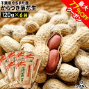 最大77%OFFクーポン 千葉県やちまた産 からつき落花生 高級感あるクラフト袋入 中手豊品種 120g×6袋 ナッツ ピーナッツ おつまみ お取り寄せ プレゼ...
