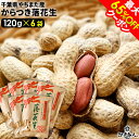 最大65%OFFクーポン 千葉県やちまた産 からつき落花生 高級感あるクラフト袋入 中手豊品種 120g×6袋 ナッツ ピーナッツ おつまみ お取り寄せ プレゼント お持たせ お土産 非常食 保存食 残暑見舞い 手土産 帰省 土産 お盆 お供え 夏休み