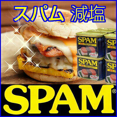 スパム 減塩(SPAM) (340g)スパム 缶詰手