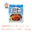 【沖縄珍味】 ミミガージャーキー 沖縄の海塩 ぬちまーす使用 （小）9g ギフト プレゼント 命の塩 沖縄お土産 沖縄 通販 沖縄土産 オキ..