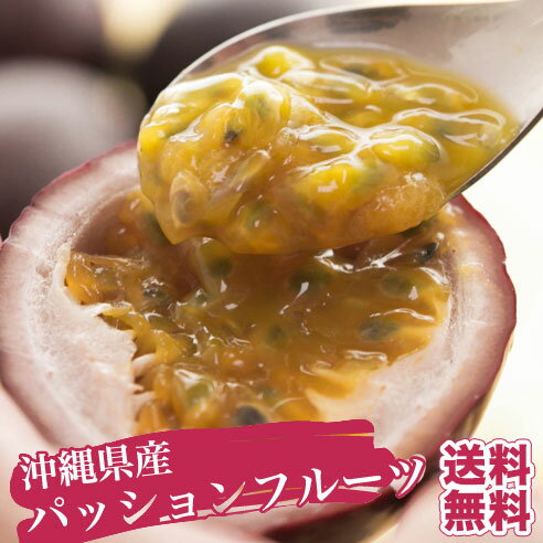 パッションフルーツ 1kg(9玉～11玉) 送料無料！[最盛期]本場沖縄の旬のフルーツの味を、気軽に楽しんで下さい♪パイナ…