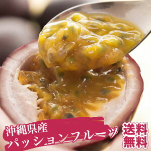 パッションフルーツ 1kg(9玉～11玉) 送料無料！[最盛期]本場沖縄の旬のフルーツの味を、気軽に楽しんで下さい♪パイナップルやマンゴーと並ぶ人気を誇るパッションフフルーツ♪　今シーズンもいよいよ販売開始！｜果物 ｜