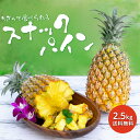 【予約販売】スナックパイン 送料無料 沖縄県産 2.5kg（2～5玉）産地直送 フルーツ 果物(パイナップル)(お土産) 沖縄…