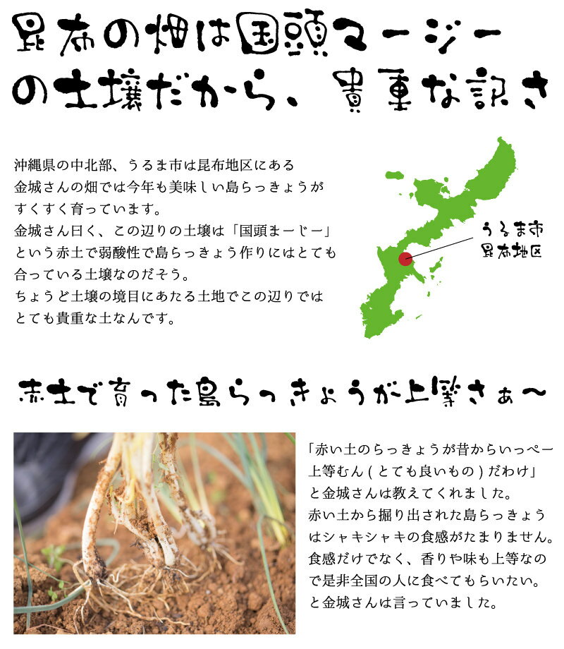 ���ä��礦 ���츩�� 100g �̤���� 500g�ʾ������100g���ޥ� ���褤��ܤ����ä��礦 ��� ������� ���å��祦 �� �� ŷ�פ����Ҥ� �����ä��礦 ��