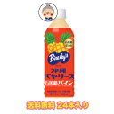 沖縄バヤリース 石垣島パイン 500ml×24本入り (1ケース) 送料無料【沖縄限定】パインジュース 保存料不使用 ｜ジュース ｜