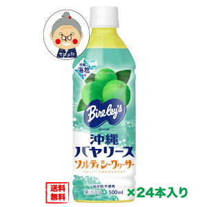 沖縄バヤリース ソルティ シークワーサー PET500ml×24本入り (1ケース) 送料無料【沖縄限定】 ｜ジュース ｜