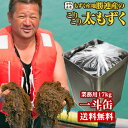 勝連漁業協同組合 塩もずく5kg(容器) ×2箱 沖縄 土産 人気 もずく フコイダン