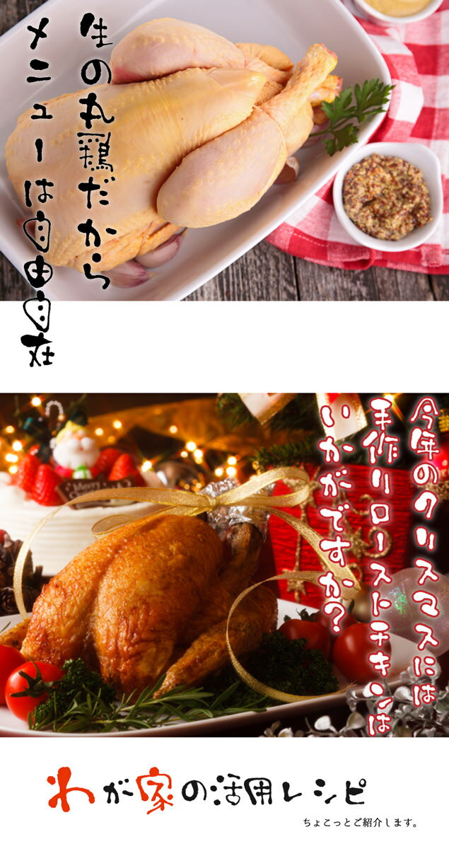 丸鳥 丸鶏 中抜き 丸ごと1羽 生 チキン クリスマスチキン 冷凍 鶏肉 ホールチキン(中抜き) 1.1kg 鶏の丸焼き/参鶏湯(サムゲタン)用に ローストチキン クリスマスパーティー｜ホールチキン｜