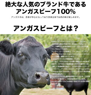 \送料無料/1ポンド越えの楽天最大級ステーキ!2枚セット合計2ポンド以上保証の大ボリュームチャックアイロールアンガスビーフ