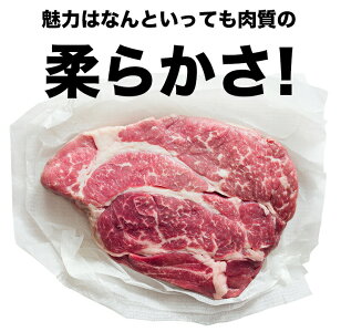 \送料無料/1ポンド越えの楽天最大級ステーキ!2枚セット合計2ポンド以上保証の大ボリュームチャックアイロールアンガスビーフ