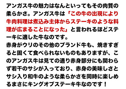 \送料無料/1ポンド越えの楽天最大級ステーキ!2枚セット合計2ポンド以上保証の大ボリュームチャックアイロールアンガスビーフ