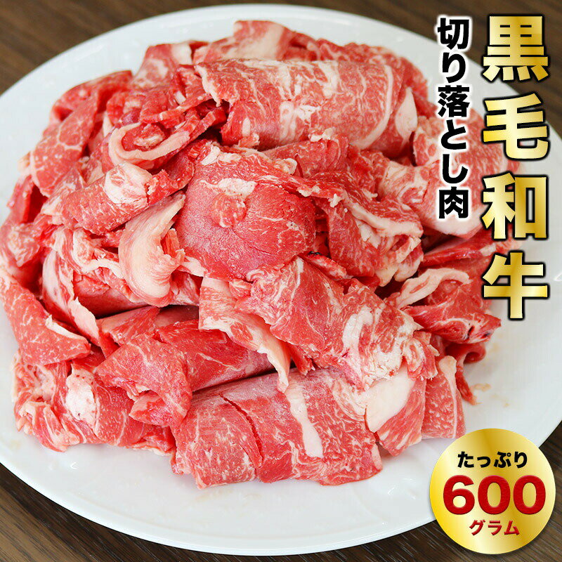 経産牛 600g 送料無料 牛肉 ヘルシーな黒毛和牛の切り落とし 家庭用 おもてなし用 簡単調理 使い切り ちょっと贅沢な…