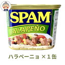 サンヨー ごはん 缶詰 防災用品 詰め合わせ サンヨー堂 飯缶 5種類×各5缶セット 缶切り不要 非常食 長期保存食 グルメギフト 美味しい キャンプ アウトドア