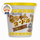 徳島製粉 金ちゃんヌードル カレー |インスタントラーメン|