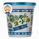 徳島製粉 金ちゃんヌードル しお |インスタントラーメン|