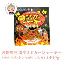 【辛さ3倍】激辛！ ミミガージャーキー 島とうがらし入り 辛さ3倍 （小） 9g ギフト プレゼント 沖縄珍味 激辛 沖縄お土産 沖縄 通販 沖縄土産 オキハム お試し ｜干し肉 ｜