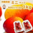 ミニマンゴー 沖縄 果物 フルーツ 訳あり 沖縄産マンゴ 500g×2パックセット 食べやすいミニサイズ 国産 自宅用 甘い うまい マンゴです リピーター続出...