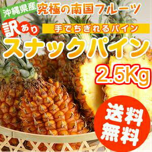 【予約販売】スナックパイン 送料無料 沖縄県産 2.5kg（2〜5玉）産地直送 フルーツ 果物(パイナップル)(お土産) 沖縄土産 通販 ご当地 訳あり スイーツ (ギフト)|パイン|【5月下旬から6月中旬発送予定】※日時指定はできません！予めご了承下さい。