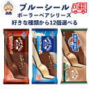 ブルーシール ポーラーベア アイス ギフト 送料無料 3種類から選べる12個セット 沖縄土産 ご当地アイス 沖縄限定 自宅用 バニラ チョコレート カフェオレの...
