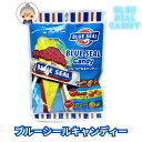 【ブルーシール】ブルーシールキャンディー 80g 「アメリカ生まれ、沖縄育ち」のブルーシールの味のキャンディー! 飴 キャンディー アイスクリーム 沖縄お土産 ...