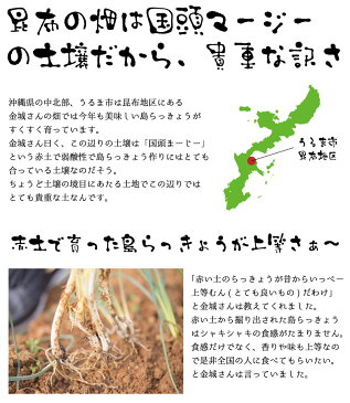 島らっきょう沖縄県産(100g) 量り売り♪500g以上購入で100gオマケ！ いよいよ旬の島らっきょう！お試し 沖縄野菜 ｜島らっきょう ｜ 生 国産 天ぷらや塩漬に！