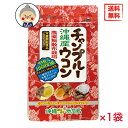 ウコン サプリ 送料無料 メール便 春ウコン 秋ウコン 紫ウコン 沖縄県産使用 ターメリック クルクミン36mg含有 栄養機能食品 ビタミンC 農薬無散布栽培【サプリメント】