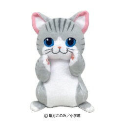 ねこ、はじめましたChibiぬいぐるみニャオ