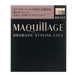 ドラマティックスタイリングアイズ / 本体 / BR505 ショコラカプチーノ / 4g