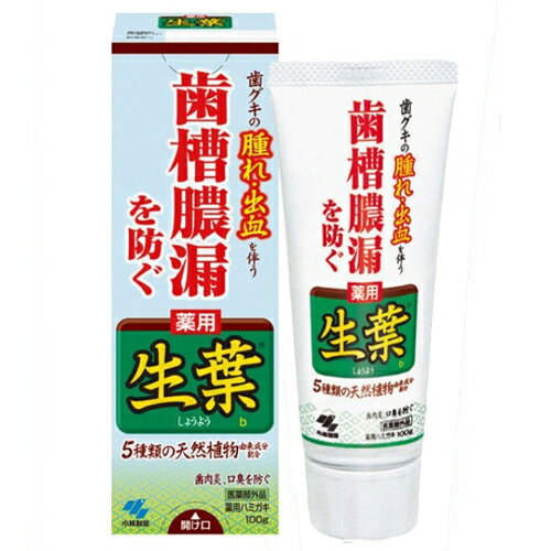 樂天商城 - 小林製薬 薬用 生葉 しょうよう 100g 医薬部外品 (薬用ハミガキ)