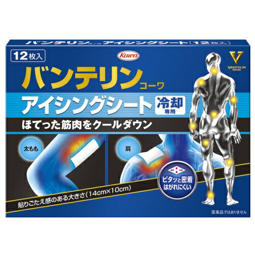 ���� �Х�ƥ�󥳡��� �������󥰥����� 12���� �������