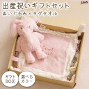 新発売 出産祝い ギフトセット ぬいぐるみ タグタオル 2点セット ギフトBOX入り エデュテ 赤ちゃん おもちゃ プレゼント かわいい ギフト 誕生日プレゼント 男の子 女の子 ベビー