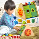 【Im TOYアイムトイの知育玩具】トライアングルアクティビ...