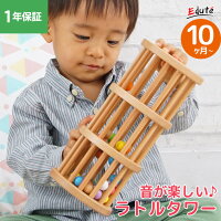 知育玩具 木のおもちゃ 知育 赤ちゃん おもちゃ 1歳 1歳半 2歳 誕生日 プレゼント 男の子 女の子 | ラトルタワー