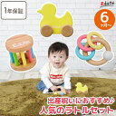 メール便OK Edute baby&kids エデュテ ベビーサイズのコロコロラトル 出産祝い 赤ちゃん おもちゃ おうち時間 子供