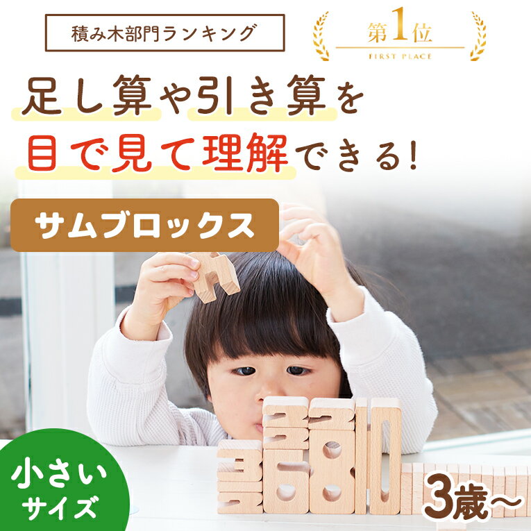 【20％OFFクーポン! ブラックフライデー限定】積み木 サムブロックス ミニスターターセット Sumblox エデュテ つみき 積木 数字 3歳 誕生日プレゼント プレゼント 男の子 女の子 4歳 5歳 知育玩具 子供 木製 ブロック 計算 数 パズル クリスマスプレゼント 1年保証 2