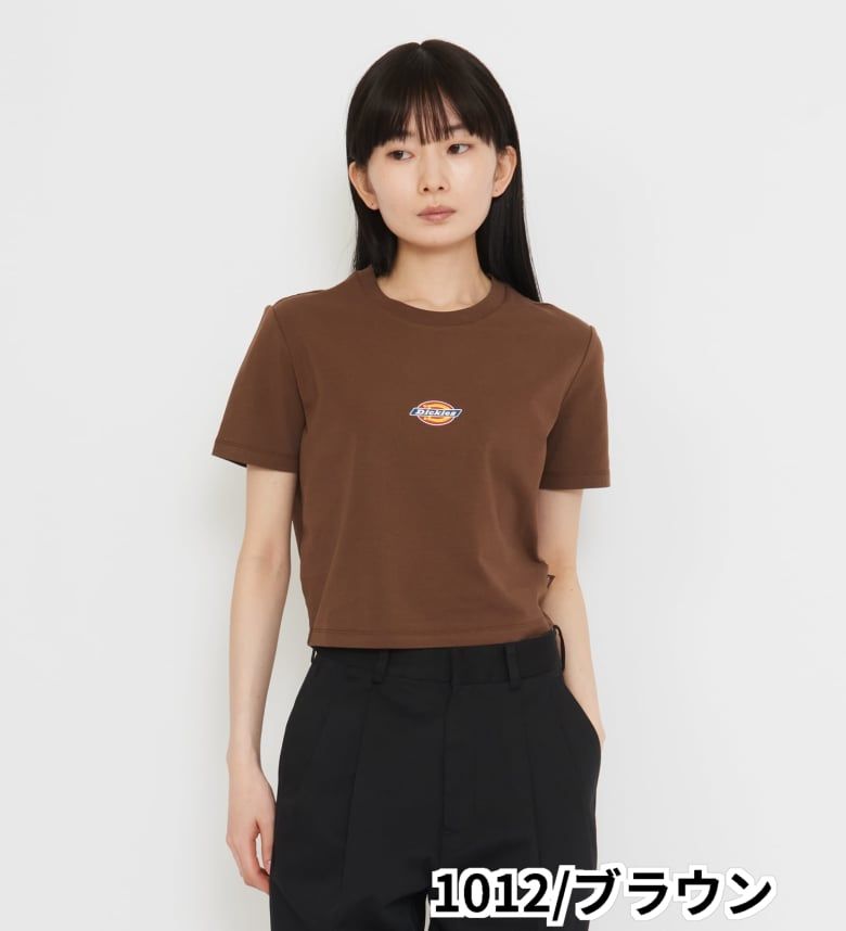 【Dickies公式】【SALE★58％OFF】メープルバレーTシャツ 半袖 ディッキーズ