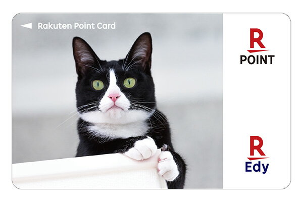 Edy-楽天ポイントカード アニマルシリーズ(靴下猫)の商品画像