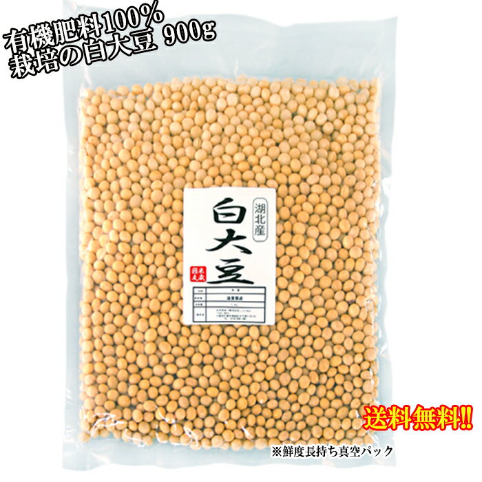 【送料無料】令和5年度産【大豆 / オオツル】白大豆 900g 真空パック 有機肥料100％ 検査1等級相当 最高ランク取得 大粒【遺伝子組換でない】おおつる/こだわり大豆/だいず/安心/安全/減農薬栽…