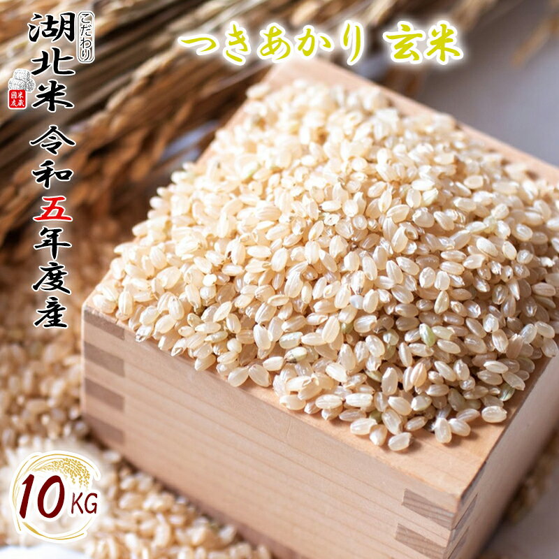 令和5年度産 つきあかり 玄米 10kg お米 湖北米 特別栽培米 送料無料(一部除く) 1等米 安心 安全 滋賀県 湖北町 減農薬栽培 有機栽培