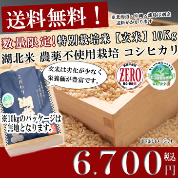 農薬不使用米コシヒカリ　ZERO【玄米】10kg 令和1年度産お米【送料無料・送料込み（一部除く）】新米/オーガニック/有機米/特別栽培/こだわり米/安心/安全/滋賀県/湖北町/琵琶湖/長浜/米/こしひかり/黒田かんべい/こめ/コメ/通販/七本槍/機内食