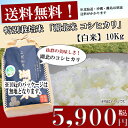 コシヒカリ【白米】10kg 令和1年産お米/湖北米/近江米　特別栽培米【送料無料・送料込み（一部除く）】新米/1等米/こだわり米/安心/安全/米/滋賀県/湖北町/琵琶湖/はくまい/減農薬栽培/放射能検査済/こめ/コメ/激安/通販/七本槍