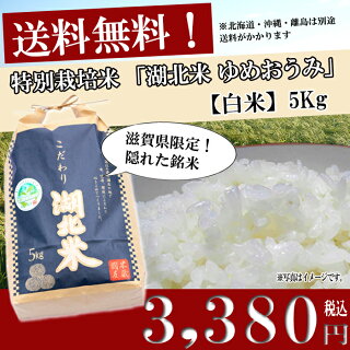お米/湖北米ゆめおうみ【白米】5kg特別栽培米【送料無料(一部除く)】