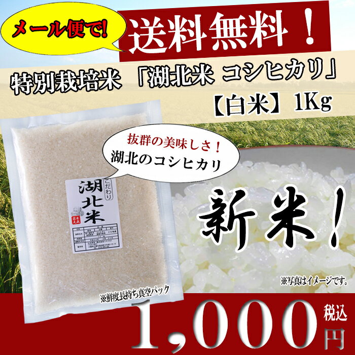 コシヒカリ【白米】1kg 令和2年度産お米/湖北米/近江米　 特別栽培米【送料無料・送料込み（一部除く）】新米/1等米/こだわり米/安心/安全/米/滋賀県/湖北町/琵琶湖/はくまい/減農薬栽培/放射能検査済/こめ/コメ/激安/通販/黒田官兵衛/機内食