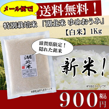 ゆめおうみ【白米】1kg 令和2年産お米/湖北米/近江米 特別栽培米【送料無料・送料込み(一部除く)】新米/1等米/こだわり米/安心/安全/米/滋賀県/湖北/琵琶湖/はくまい/減農薬栽培/黒田かんべい/こめ/コメ/激安/通販/ギフト/機内食