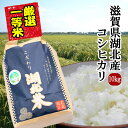 コシヒカリ【白米】10kg 令和3年産お米/湖北米/近江米　特別栽培米【送料無料・送料込み（一部除く）】新米/1等米/こだわり米/安心/安全/米/滋賀県/湖北町/琵琶湖/はくまい/減農薬栽培/放射能検査済/こめ/コメ/激安/通販/七本槍